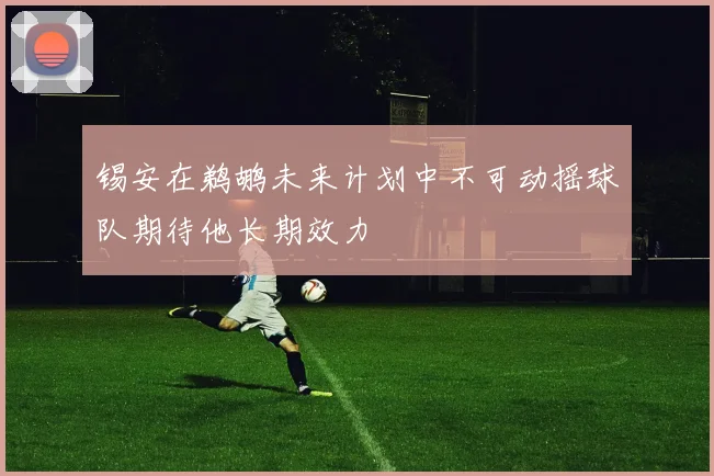 锡安在鹈鹕未来计划中不可动摇球队期待他长期效力
